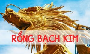 Soi cầu Rồng Bạch Kim 2888 ghép số lô trùng đầu đuôi